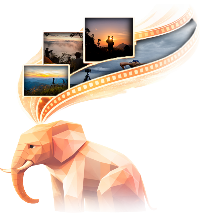 Documentaries